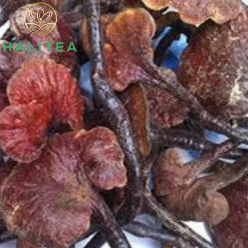Nấm Lim Xanh Túi 500gr