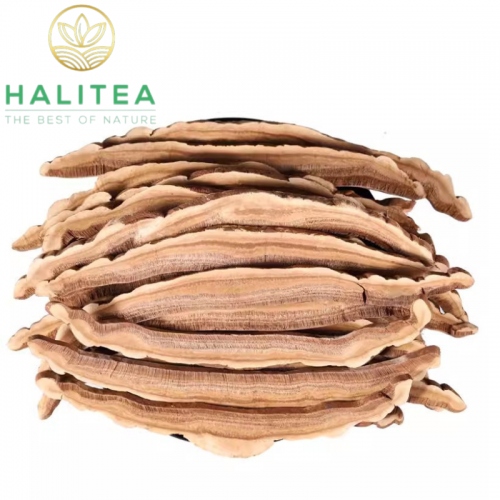 Nấm Linh Chi Rừng Thái Lát Hộp 250gr
