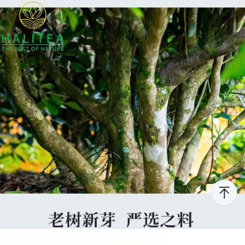 Phổ Nhĩ Chín Viên Vân Nam Hũ 250gr