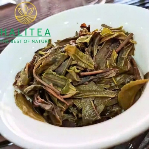 Phổ Nhĩ Sống (Fu Yuan Chang) 2021 Phúc Nguyên Xương – Bánh 357g