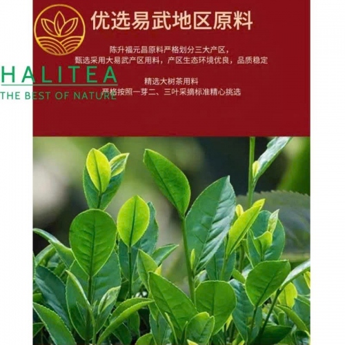 Phổ Nhĩ Sống (Fu Yuan Chang) 2021 Phúc Nguyên Xương – Bánh 357g