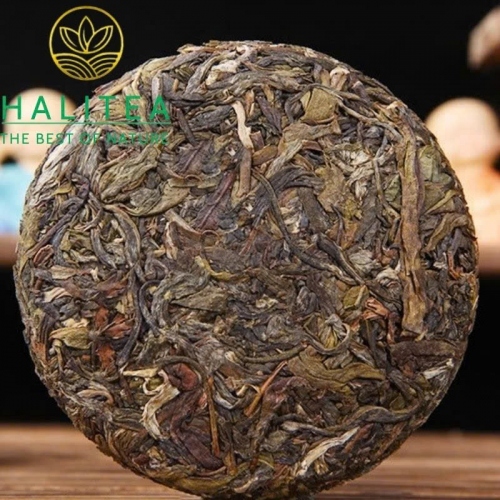 Phổ Nhĩ Sống Mạn Tùng Cống Trà 2023 – Bánh 100g