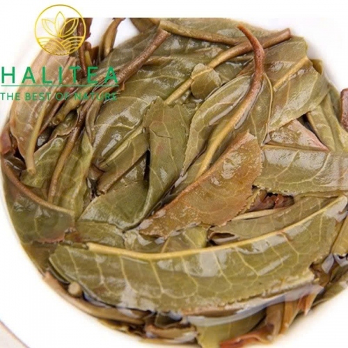 Phổ Nhĩ Sống Mạn Tùng Cống Trà 2023 – Bánh 100g