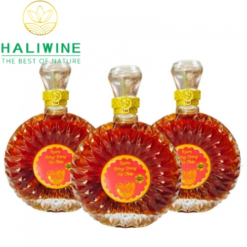 Rượu Đông Trùng Hạ Thảo Hộp Cao Cấp Chai 500ml