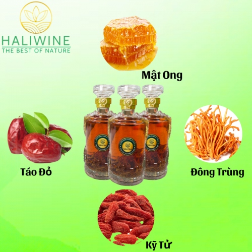 Rượu Đông Trùng Hạ Thảo Lon Xanh Chai 500ml