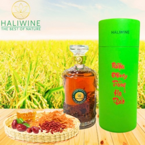 Rượu Đông Trùng Hạ Thảo Lon Xanh Chai 500ml