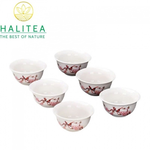 Set 06 Chén Trà Sứ Trắng Hoa Văn Đa Dạng 30ml