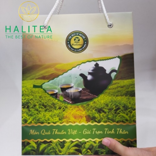 Set 2 Hộp Trà Xanh Móc Câu HALITEA Thái Nguyên Cao Cấp 400gr