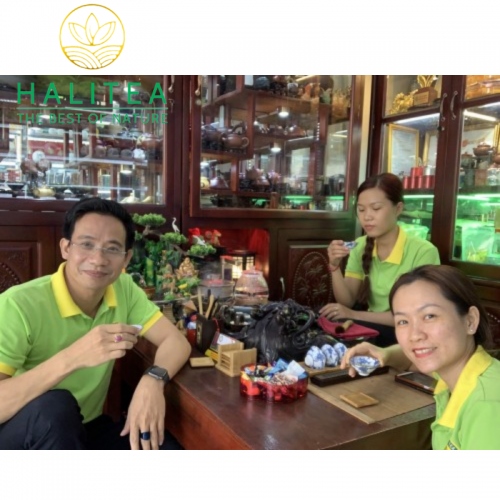 Set 2 Hộp Trà Xanh Móc Câu HALITEA Thái Nguyên Đặc Biệt  400gr