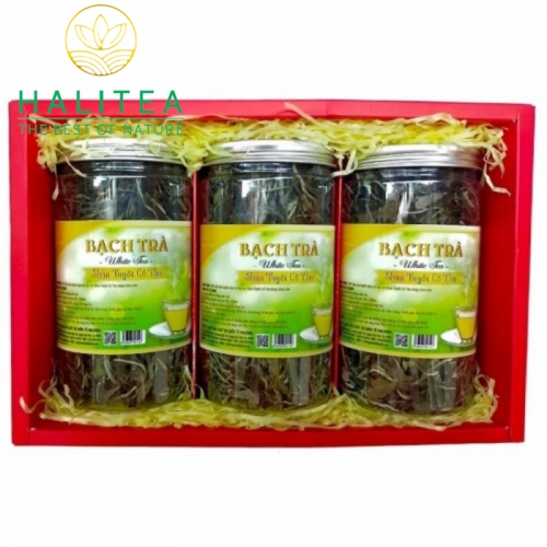 Set Bạch Trà Mẫu Đơn Shan Tuyết Cổ Thụ Hộp Giấy 3 Hũ 80G