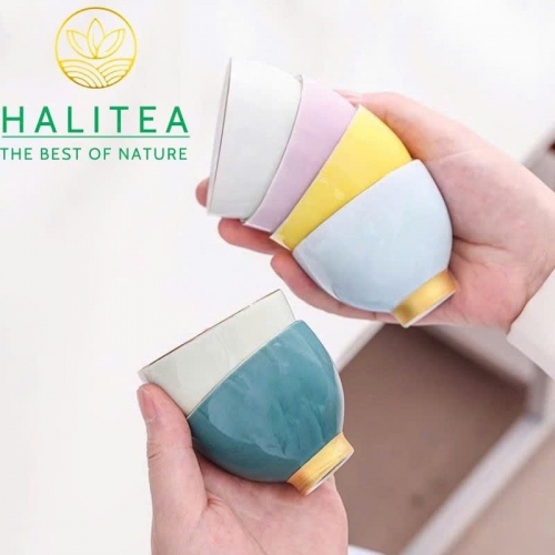 Set Bộ 06 Chén Trà Sứ Men Màu Viền Vàng Đức Hóa 70ml