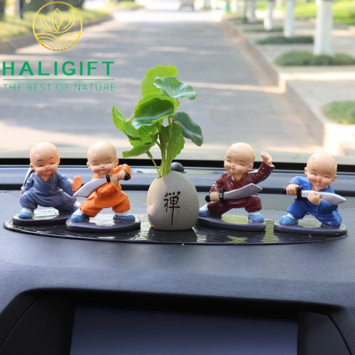 Set Bộ Tứ Múa Võ, Múa Kiếm, Võ Say