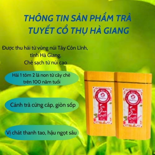 Set Lục Trà Shan Tuyết Cổ Thụ HALITEA Cao Cấp 200gr/ 2 hộp/ 1 Túi