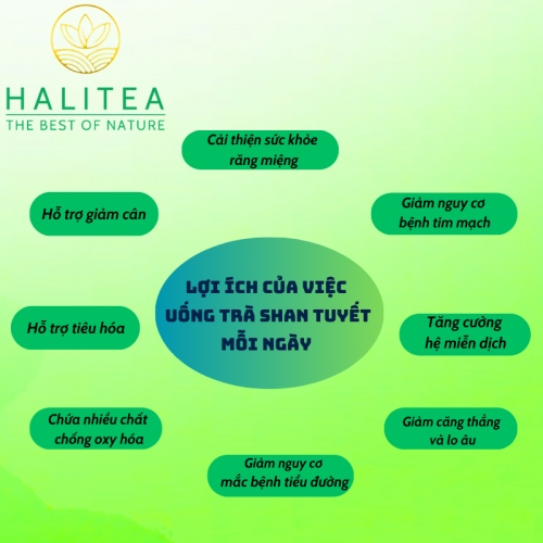 Set Lục Trà Shan Tuyết Cổ Thụ HALITEA Cao Cấp 200gr/ 2 hộp/ 1 Túi