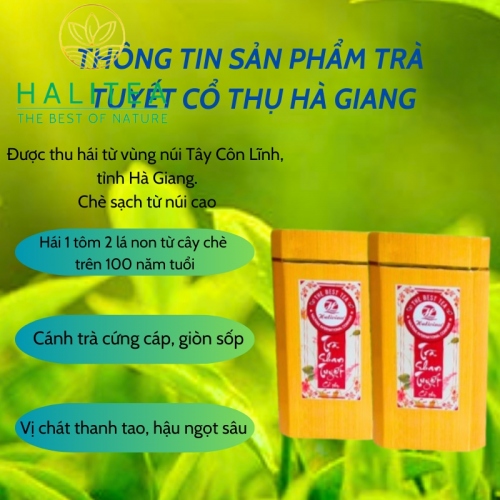 Set Lục Trà Shan Tuyết Cổ Thụ HALITEA Cao Cấp 200gr/ 2 hộp/ 1 Túi