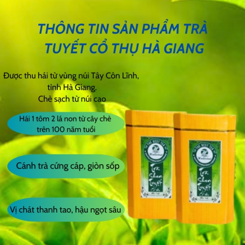 Set Lục Trà Shan Tuyết Cổ Thụ HALITEA Đặc Biệt 200gr/ 2 hộp/ 1 Túi