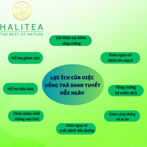 Set Lục Trà Shan Tuyết Cổ Thụ HALITEA Đặc Biệt 200gr/ 2 hộp/ 1 Túi