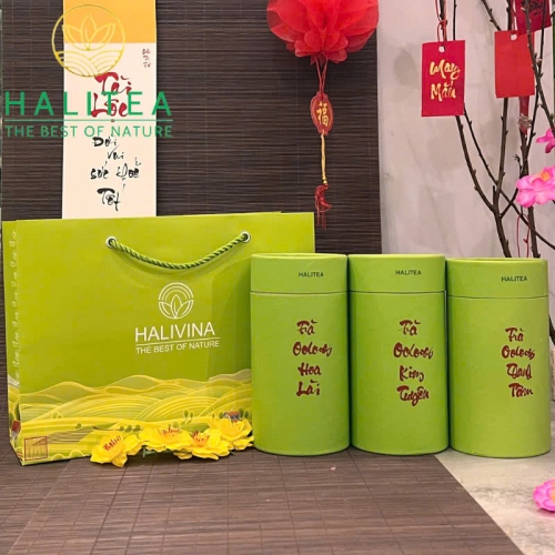 Set Quà Tặng - 10 Loại Trà Ô Long HALITEA Cao Cấp Lon Xanh 01 Túi