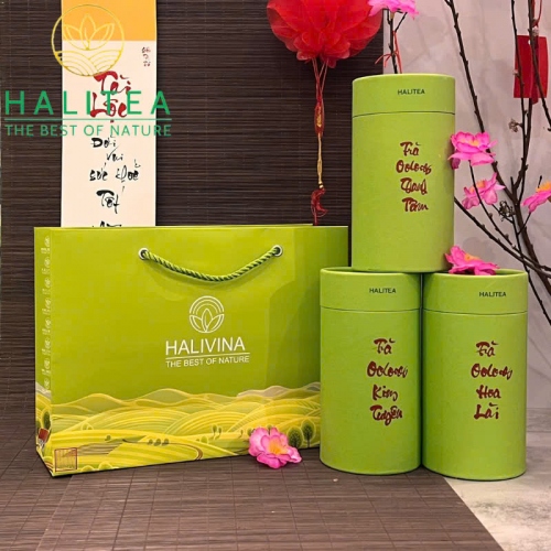 Set Quà Tặng - 10 Loại Trà Ô Long HALITEA Cao Cấp Lon Xanh 01 Túi