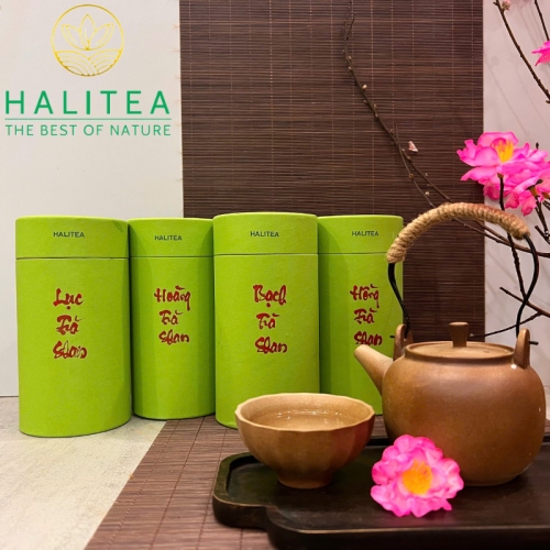 Set Quà Tặng 10 Loại Trà Shan Tuyết HALITEA Thượng Hạng Lon Xanh