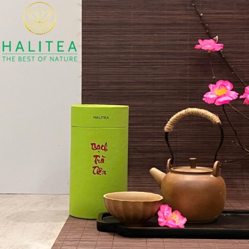 Set Quà Tặng 10 Loại Trà Shan Tuyết HALITEA Thượng Hạng Lon Xanh
