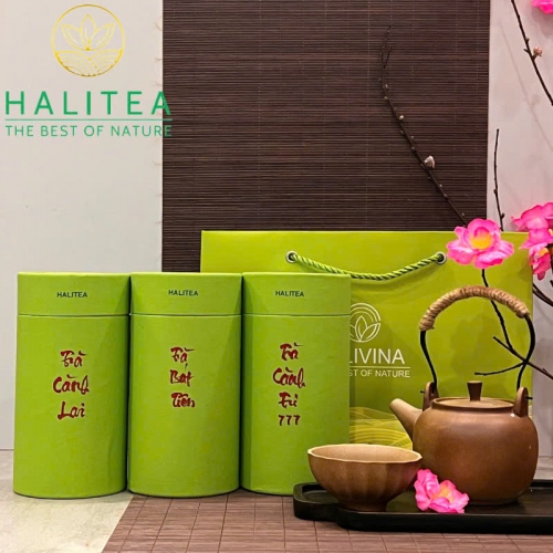 Set Quà Tặng 10 Loại Trà Tân Cương Thái Nguyên HALITEA Thượng Hạng