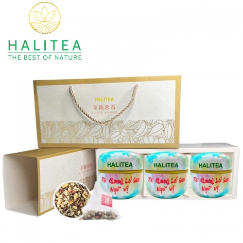Set Quà Tặng - 12 Loại Trà Thảo Dược Halitea Túi Tam Giác Cao Cấp