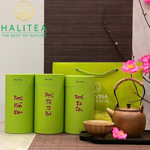 Set Quà Tặng Bạch Trà Cao Cấp HALITEA Lon Xanh 01 Túi/03 Lon