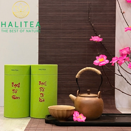 Set Quà Tặng Bạch Trà Cao Cấp HALITEA Lon Xanh 01 Túi/03 Lon