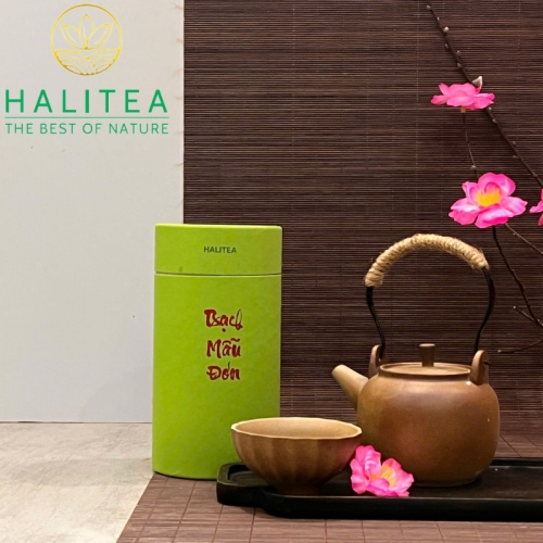 Set Quà Tặng Bạch Trà Cao Cấp HALITEA Lon Xanh 01 Túi/03 Lon