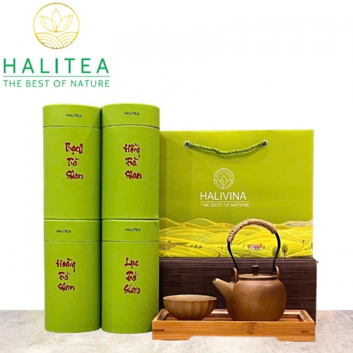 Set Quà Tặng - 10 Loại Trà Shan Tuyết HALITEA Thượng Hạng Lon Xanh
