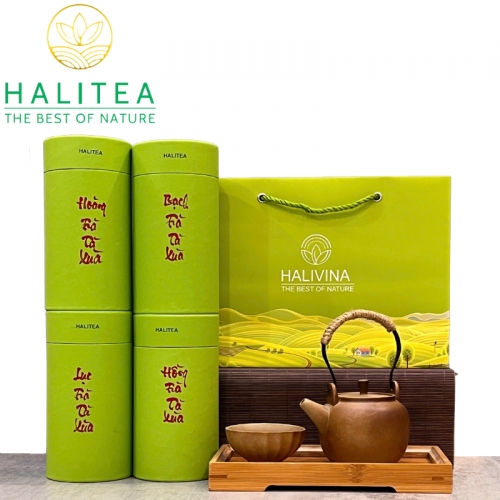 Set Quà Tặng Trà Tà Xùa Cao Cấp HALITEA Lon Xanh 01 Túi/03 Lon