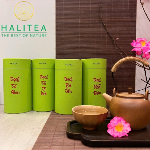 Set Quà Tặng Trà Tà Xùa Cao Cấp HALITEA Lon Xanh 01 Túi/03 Lon
