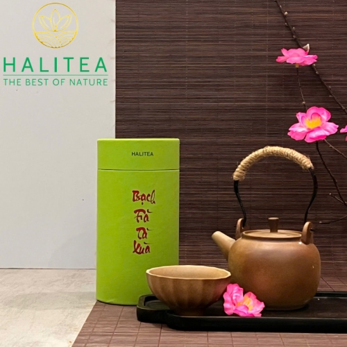 Set Quà Tặng Trà Tà Xùa Cao Cấp HALITEA Lon Xanh 01 Túi/03 Lon