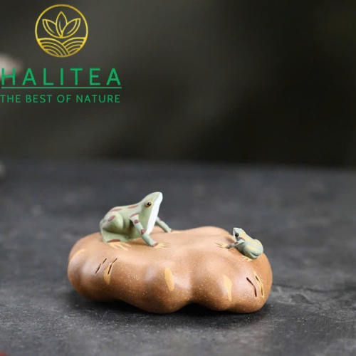 Tea Pet Ếch Xanh Trên Đá Tử Sa – Trà Sủng Song Phún Thủ Công Nghi Hưng