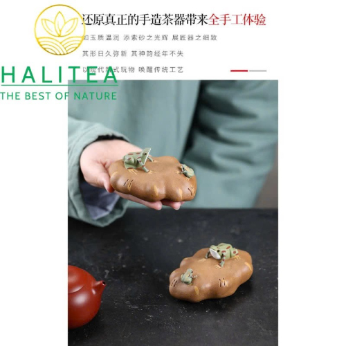 Tea Pet Ếch Xanh Trên Đá Tử Sa – Trà Sủng Song Phún Thủ Công Nghi Hưng