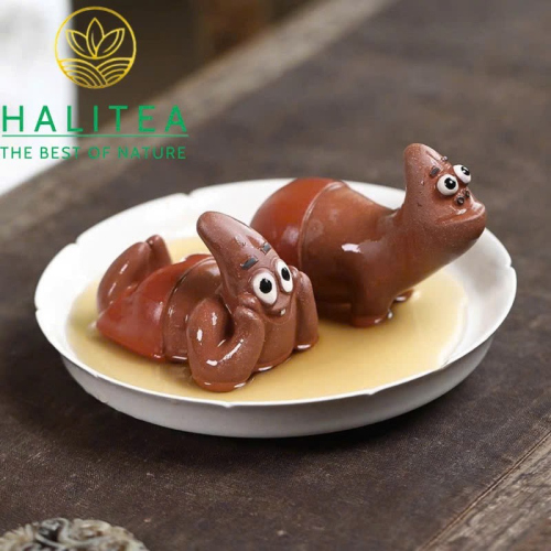 Tea Pet Phái Đại Tinh Tử Sa Nghi Hưng – Trà Sủng Cute Trang Trí Bàn Trà