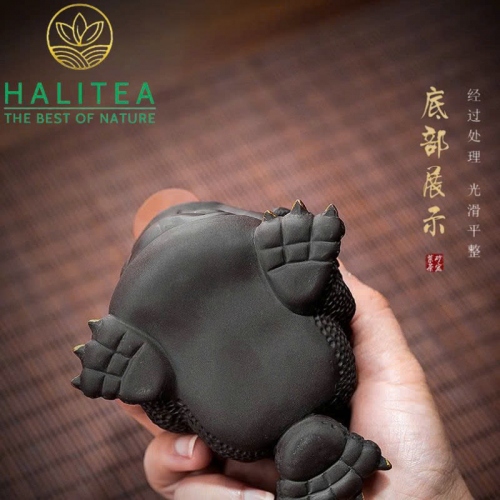 Thiềm Thừ Tử Sa Vẽ Vàng Cao Cấp - Tea Pet