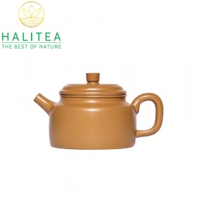Ấm Tử Sa Đức Chung Hoàng Kim Đoạn Nê 270ml
