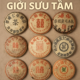 Bí Mật Của Giới Sưu Tầm: Vì Sao Cửu Đại Danh Hào Phổ Nhĩ Lại...