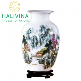 Bình Hoa Gốm Sứ Phong Thuỷ Cao Cấp KT23X14CM