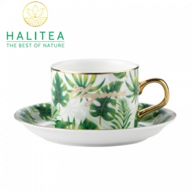 Bộ Tách Dĩa Monstera Phong Cách Châu Âu Cao Cấp Quai Mạ Vàng