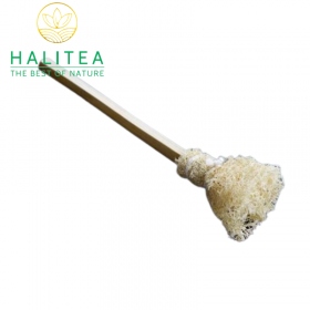 Cây Rửa Ấm Chén Trà Xơ Mướp 25cm