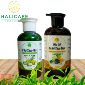 Combo Gội Xả Bồ Kết Thảo Dược HaliCare - Tóc Khỏe, Bóng Mượt