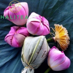 Combo Trà Ướp Sen Tây Hồ 05 Bông Tươi