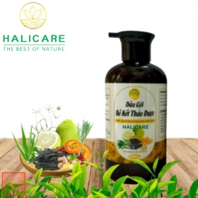 Dầu Gội Thiên Nhiên HaliCare Bồ Kết & Thảo Dược Chai 500ml