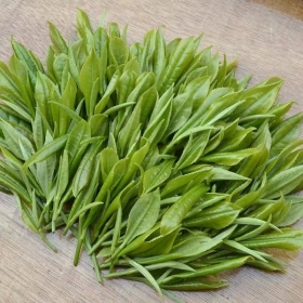 Lợi Ích & Tác Dụng Của Trà Xanh Với Sức Khỏe Con Người