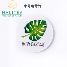 Lót Chén Hình Lá Monstera Phong Cách Châu Âu