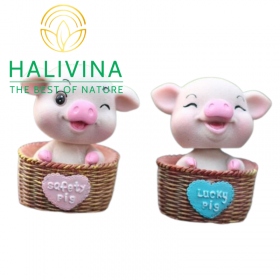 Set Hai Chú Heo Ngộ Nghĩnh Đáng Yêu