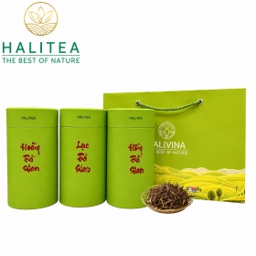 Set Quà Tặng - 10 Loại Trà Shan Tuyết HALITEA Thượng Hạng Lon Xanh